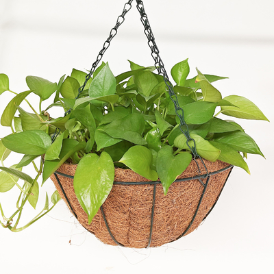 Planteurs suspendus de coco à l'extérieur paniers en fil métallique avec coco liner pots suspendus pour les plantes à l'intérieur