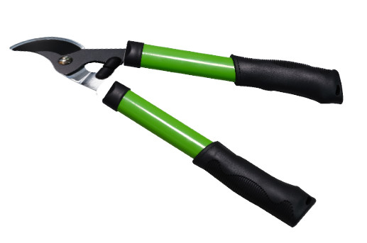 Ciseaux de jardin en acier inoxydable, tailleuse, ciseaux de jardin à taille réduite