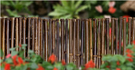 180cm 240cm a roulé la clôture en bambou pour la pépinière de frontière de jardin