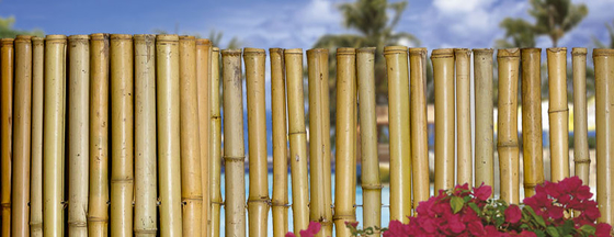 180cm 240cm a roulé la clôture en bambou pour la pépinière de frontière de jardin
