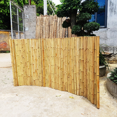 180cm 240cm a roulé la clôture en bambou pour la pépinière de frontière de jardin