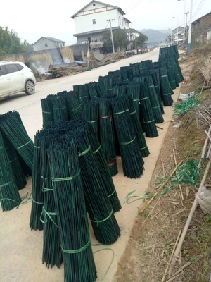 enjeux en bambou décoratifs noirs rouges de jardin Polonais de vert en bambou cru de peinture de 150cm