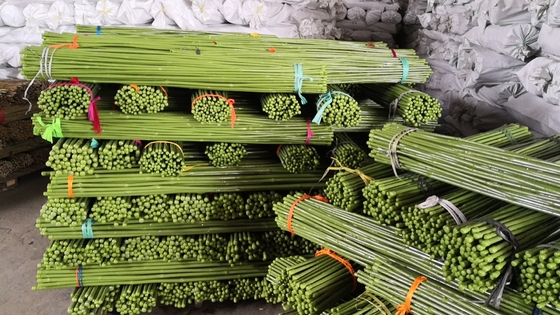 vert Polonais en bambou de longueur de 40cm 60cm 90cm 120cm peignant le vert