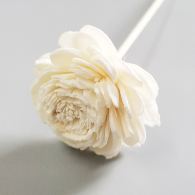 Reed Diffuse Dried Sola Flower préservé par parfum à la maison Reed Diffuser avec la mèche de coton