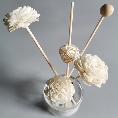 Reed Diffuse Dried Sola Flower préservé par parfum à la maison Reed Diffuser avec la mèche de coton