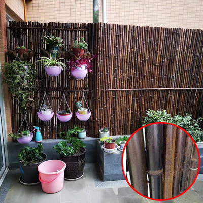 Barrière en bambou peinte matérielle en bambou naturelle Privacy Garden Border de Panels Rolled Bamboo de barrière