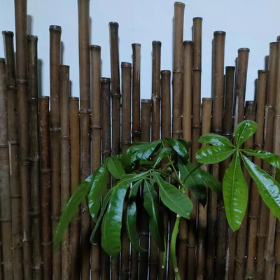 enjeux en bambou décoratifs noirs rouges de jardin Polonais de vert en bambou cru de peinture de 150cm