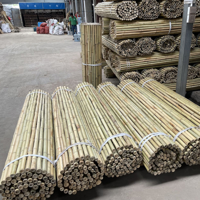 Enjeux en bambou naturels de soutien d'usine pour les usines d'intérieur, enjeu en bambou 40cm de bâtons de jardin en bambou de Polonais 595cm