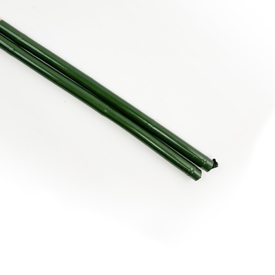 vert Polonais en bambou de longueur de 40cm 60cm 90cm 120cm peignant le vert