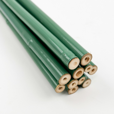 vert Polonais en bambou de longueur de 40cm 60cm 90cm 120cm peignant le vert