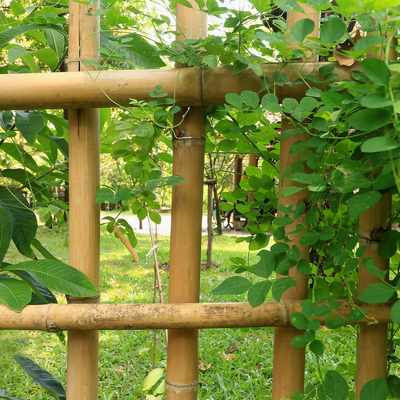 100 % Moso durable fort naturel Polonais en bambou adaptent la longueur aux besoins du client