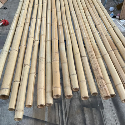 100% Polonais en bambou jaune naturel enjeux de jardin d'usine de 90cm à de 595cm