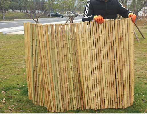Chambre verte de barrière de Screen Fencing For de jardin en bambou décoratif fumé de pépinière