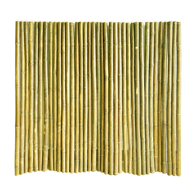 Barrière en bambou décorative naturelle noire 4Ft 6Ft 8Ft pour le jardin d'intimité de jardin