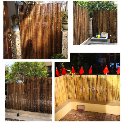 Barrière en bambou décorative naturelle noire 4Ft 6Ft 8Ft pour le jardin d'intimité de jardin