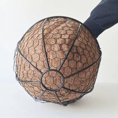 Des paniers suspendus pour le jardin, des fleurs rondes de noix de coco, des pots de coco, des paniers suspendus pour la décoration