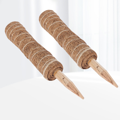 Support végétal Poteaux de mousse empilés pour les plantes Poteaux de totem de coco Poteaux de mousse élevés pour les plantes grimpantes Sphagnum