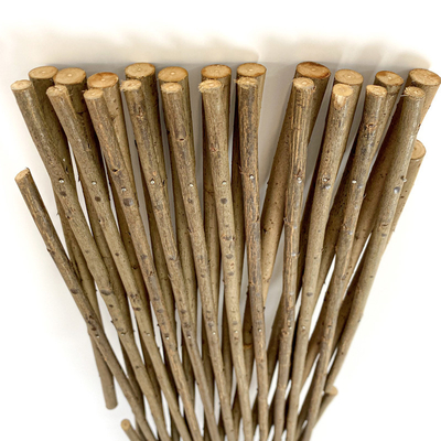 Écran ouvert Trelli élargi Willow Plantes élargissantes Grilles d'escalade Trellis Clôture