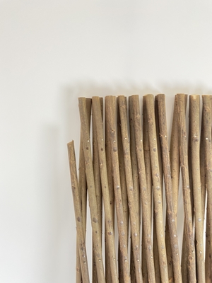Écran ouvert Trelli élargi Willow Plantes élargissantes Grilles d'escalade Trellis Clôture