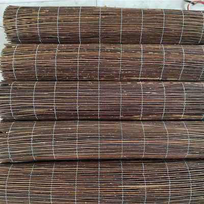 Branches de saule naturel pour une toile de fond parfaite et une solution d'intimité