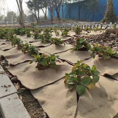 Tapis de plante en jute naturelle, protecteur écologique pour plantes en pot, décoration de jardin, germination des graines